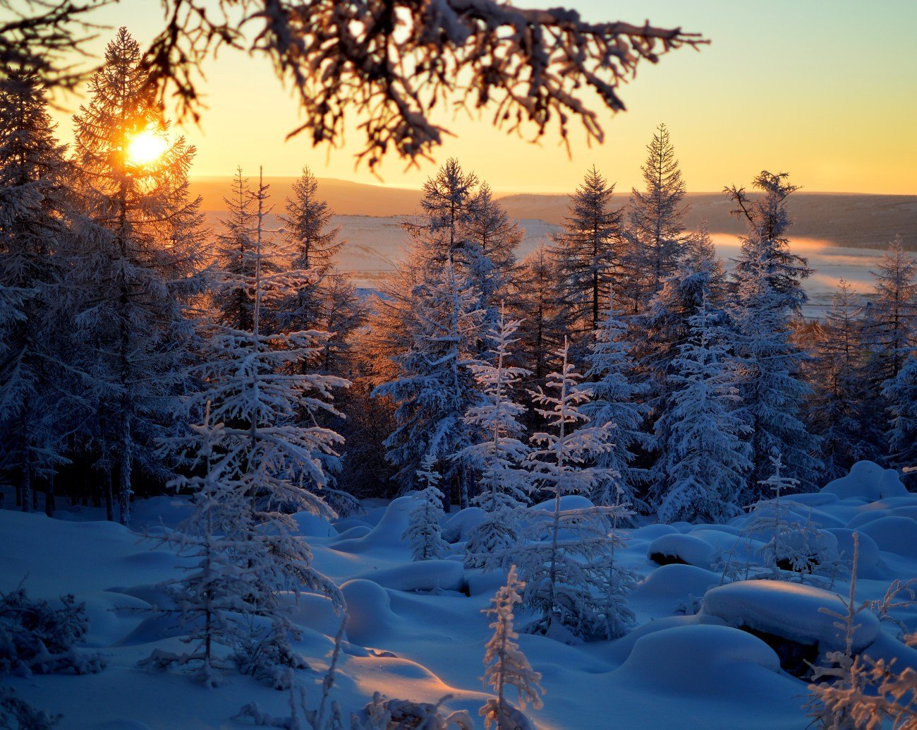 Якутские зимние. Зимняя Тайга Якутии. Якутия Оймякон лес. Саха Якутия природа зимой. Якутская Тайга зимой.