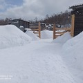 Матрена Тимофеева. Амма, Эмис